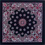 Black and Red Paisley Bandannas