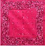 Hot Pink Paisley Bandana