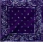 Purple Teardrop Paisley