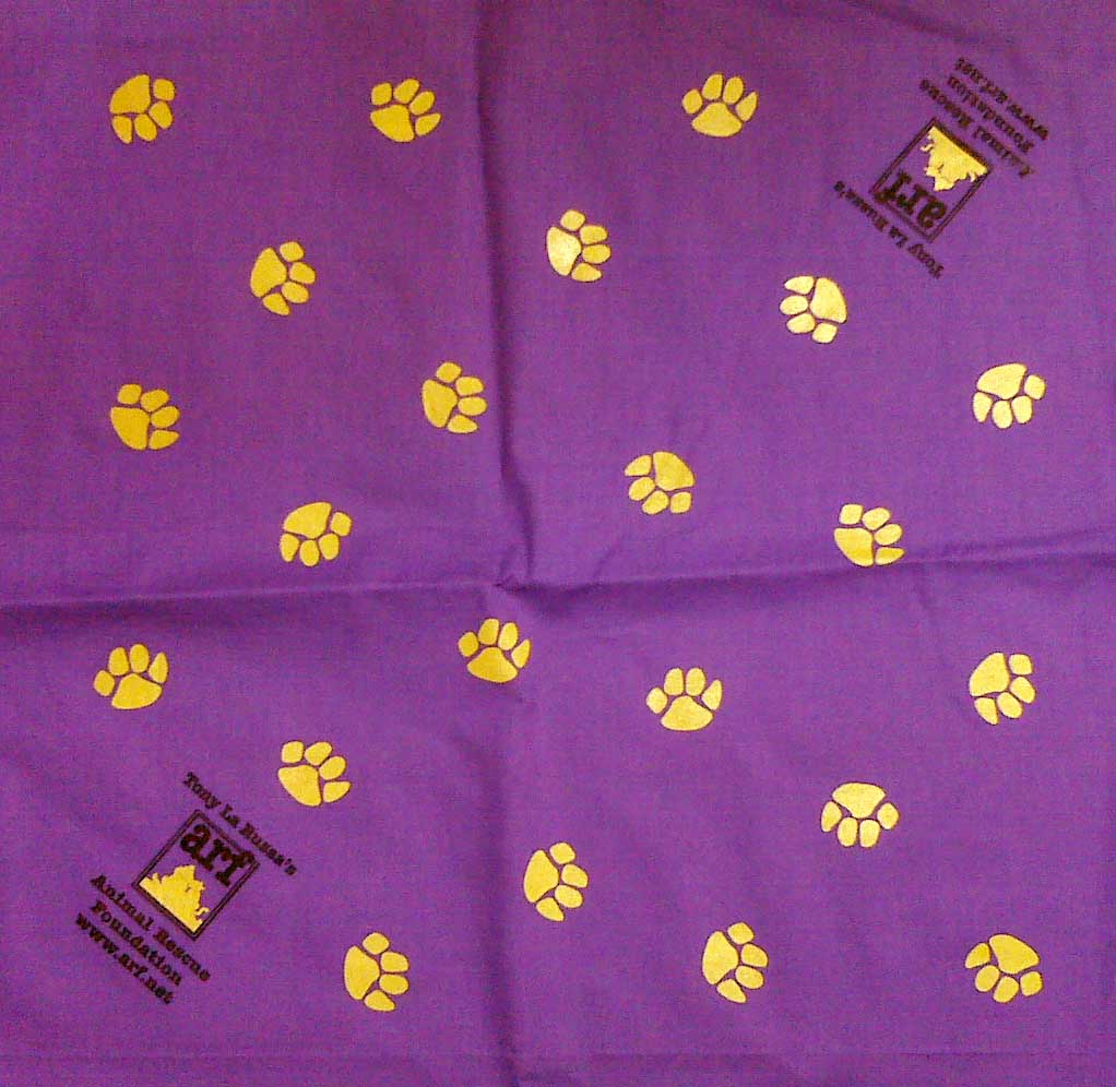 Custom Screen Printed Bandanas