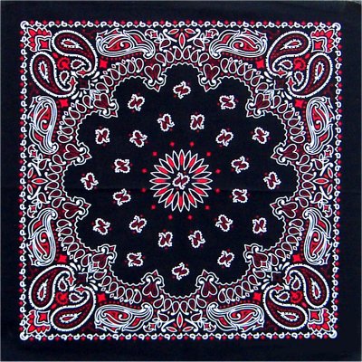 Black/Red Paisley Bandanna