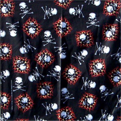 Skulls and Flames Bandanas