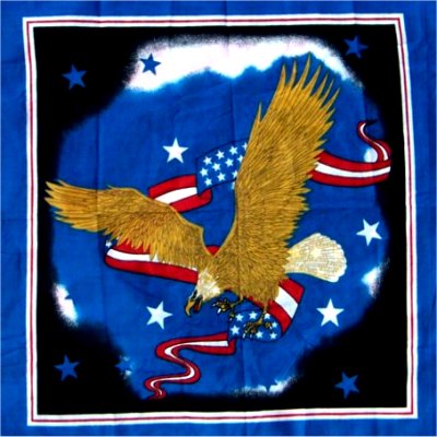 American Eagle Bandanna
