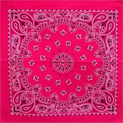 Hot Pink Paisley Wholesale Bandanna