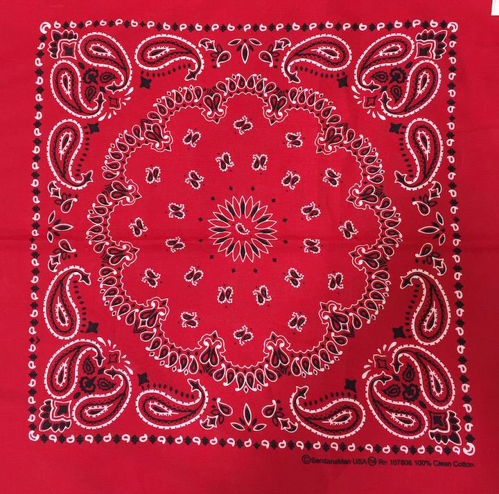 Red Paisley