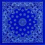 Custom embroidery wholesale,  bandana print fabric, bandana tops, bandana pillows